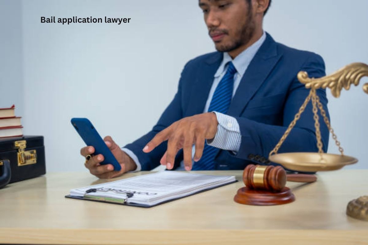 10 Important Facts About Bail Application Lawyer Services
