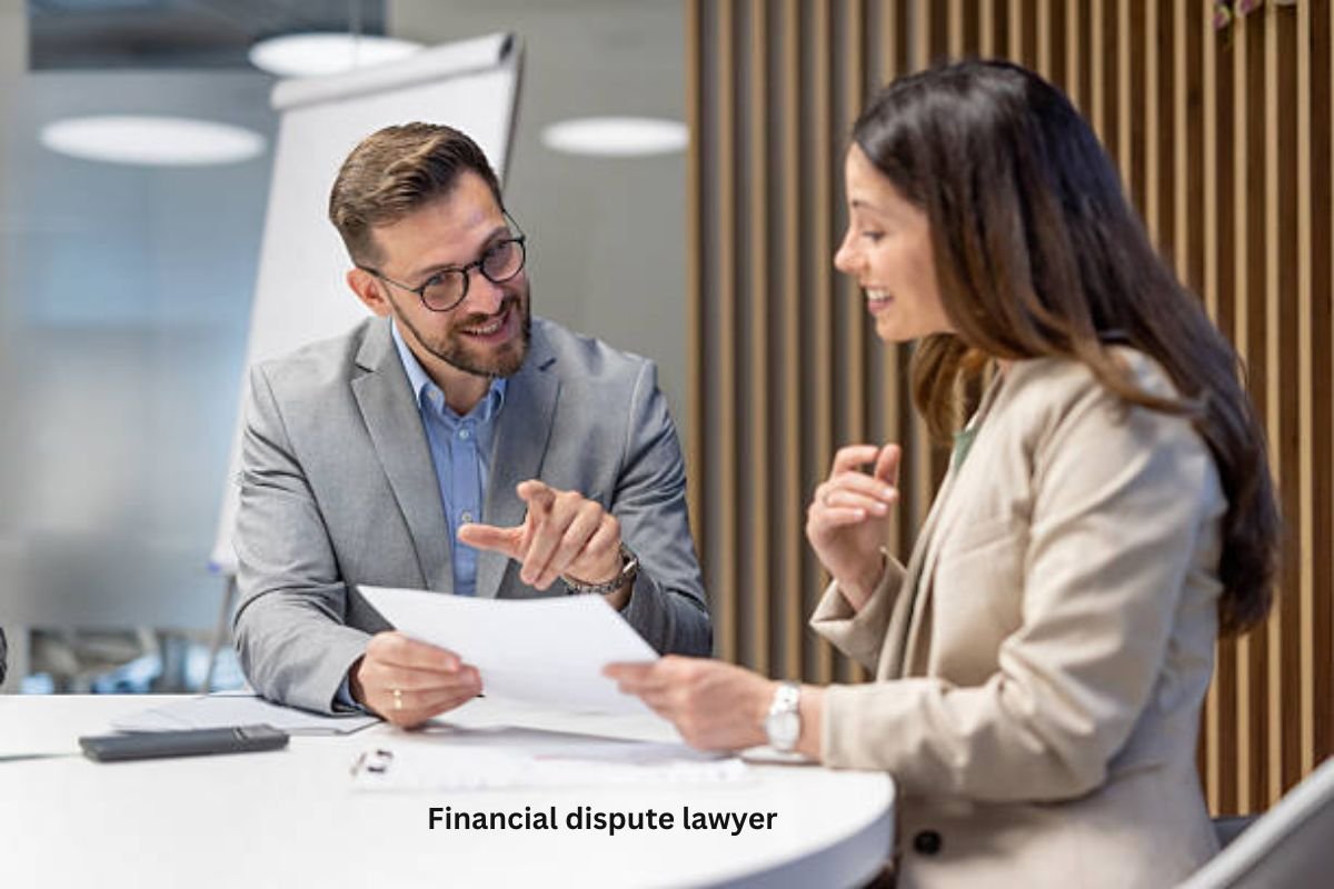 Financial dispute lawyer