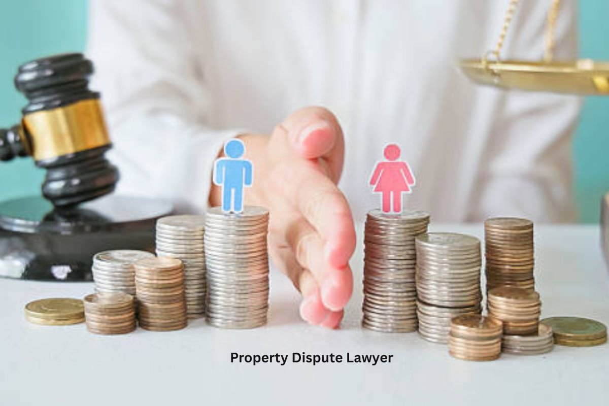 Property Dispute Lawyer